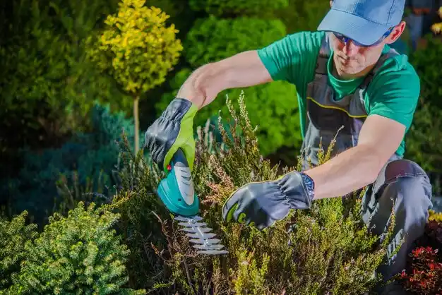 landscaping services Sparkill